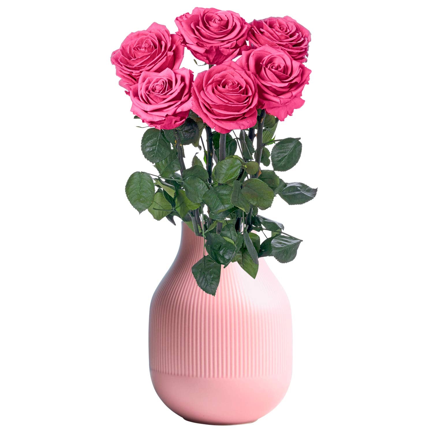 Eternity Forever Real Preserved Never Dying Eternal Rose Bouquet Flores Rosas Naturales Preservadas 6pcs Fuchsia