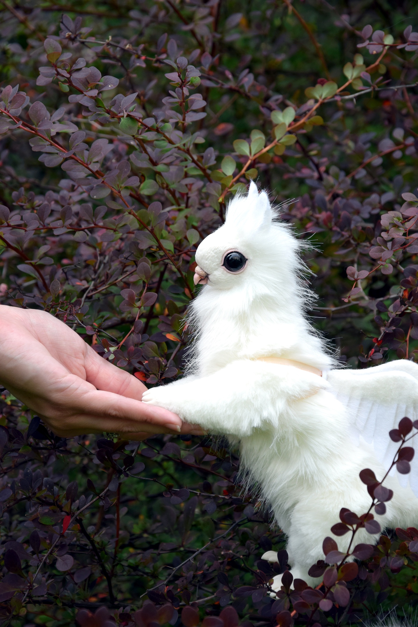 Dove Griffin