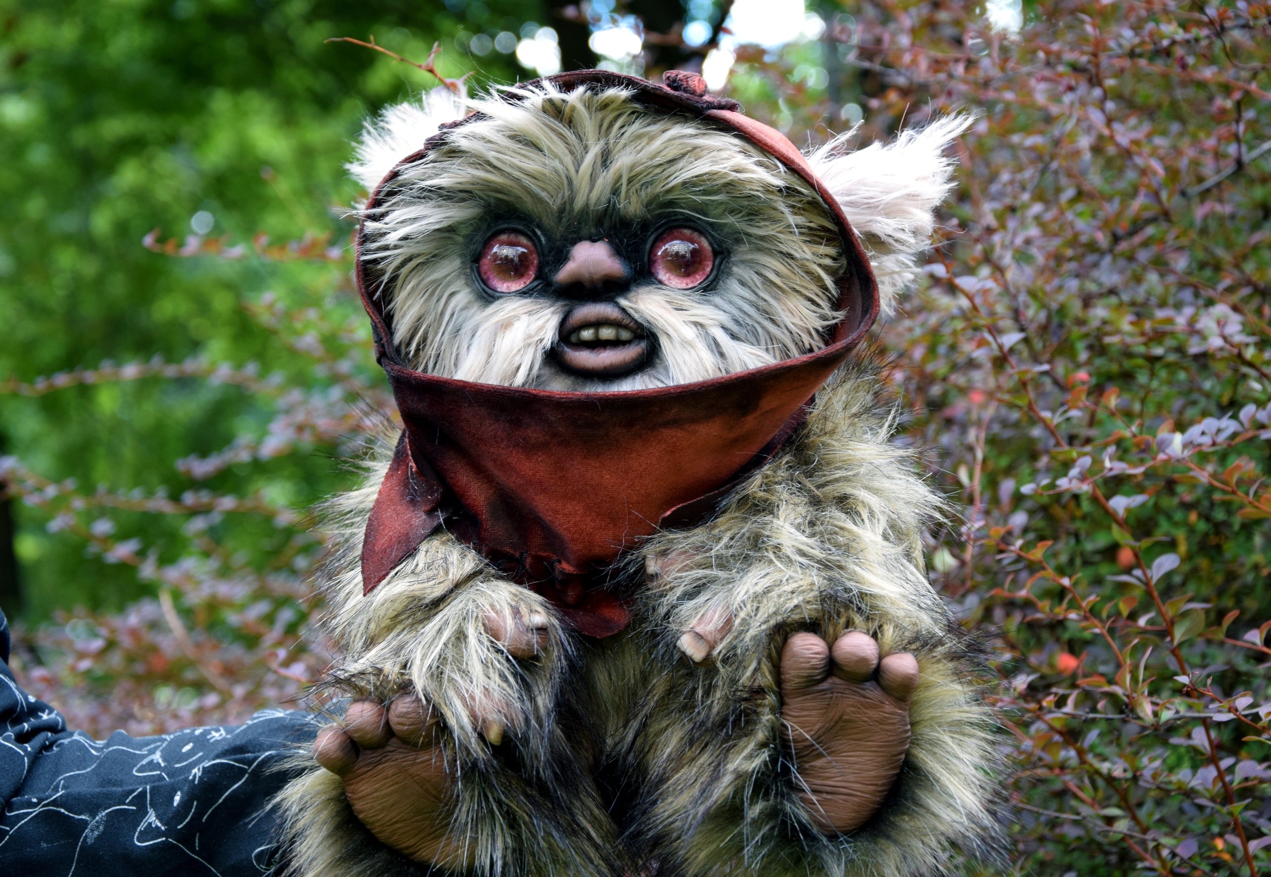 Small Ewok