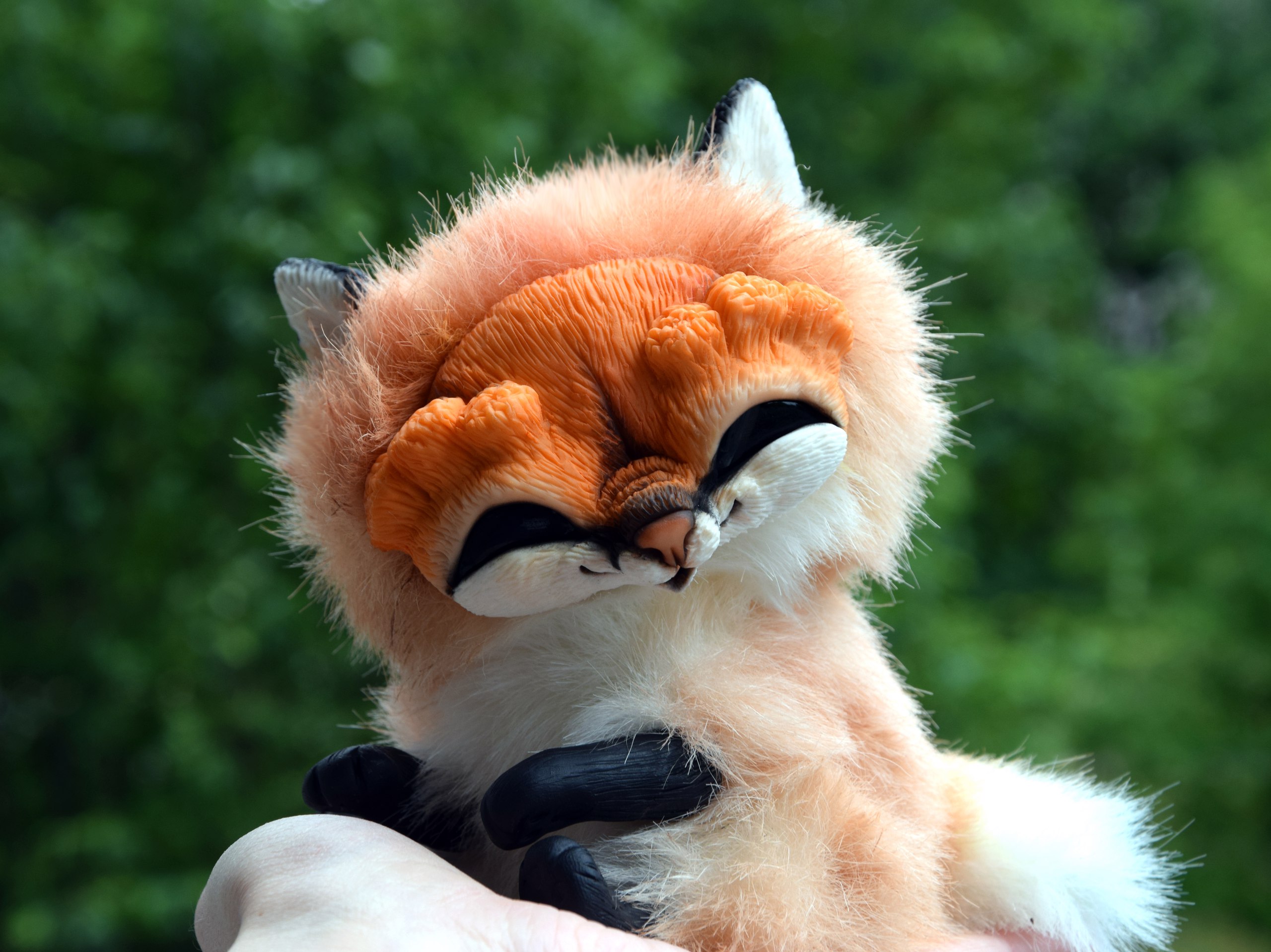Sisters Foxes