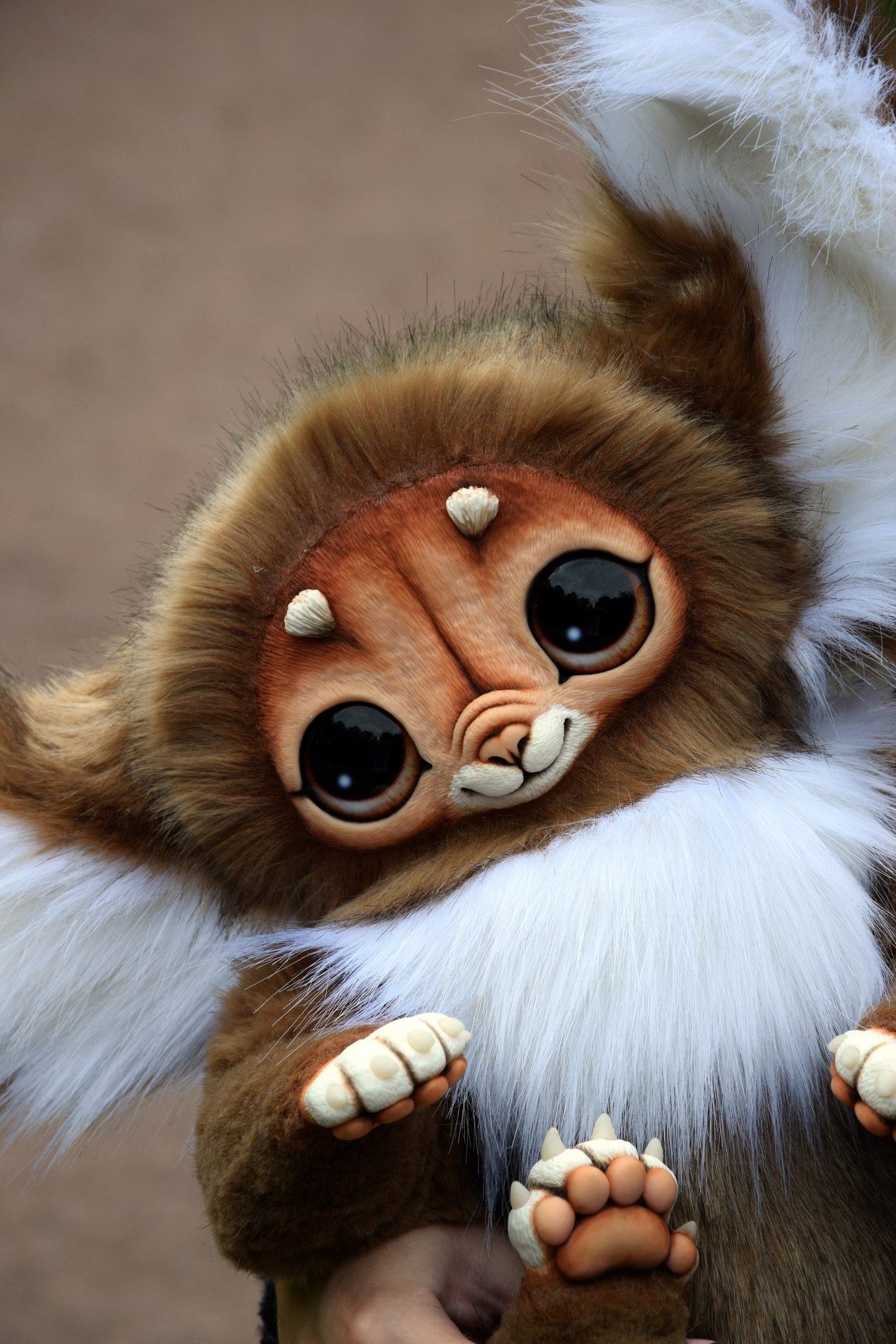 Big-Eyed Guy