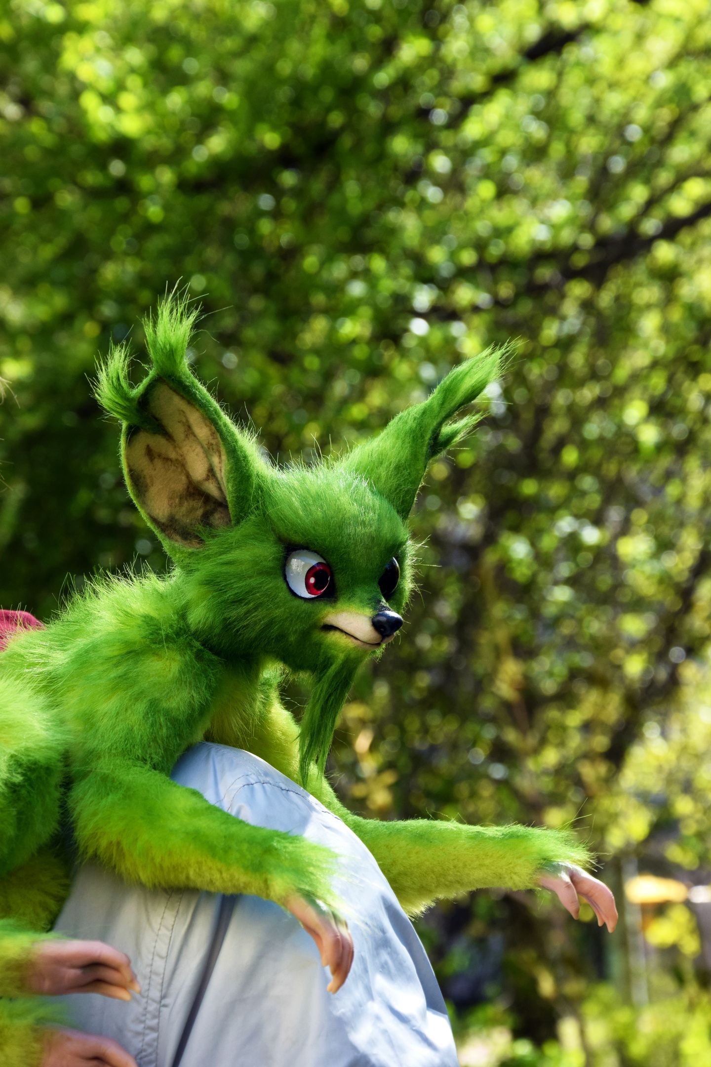Queelocke