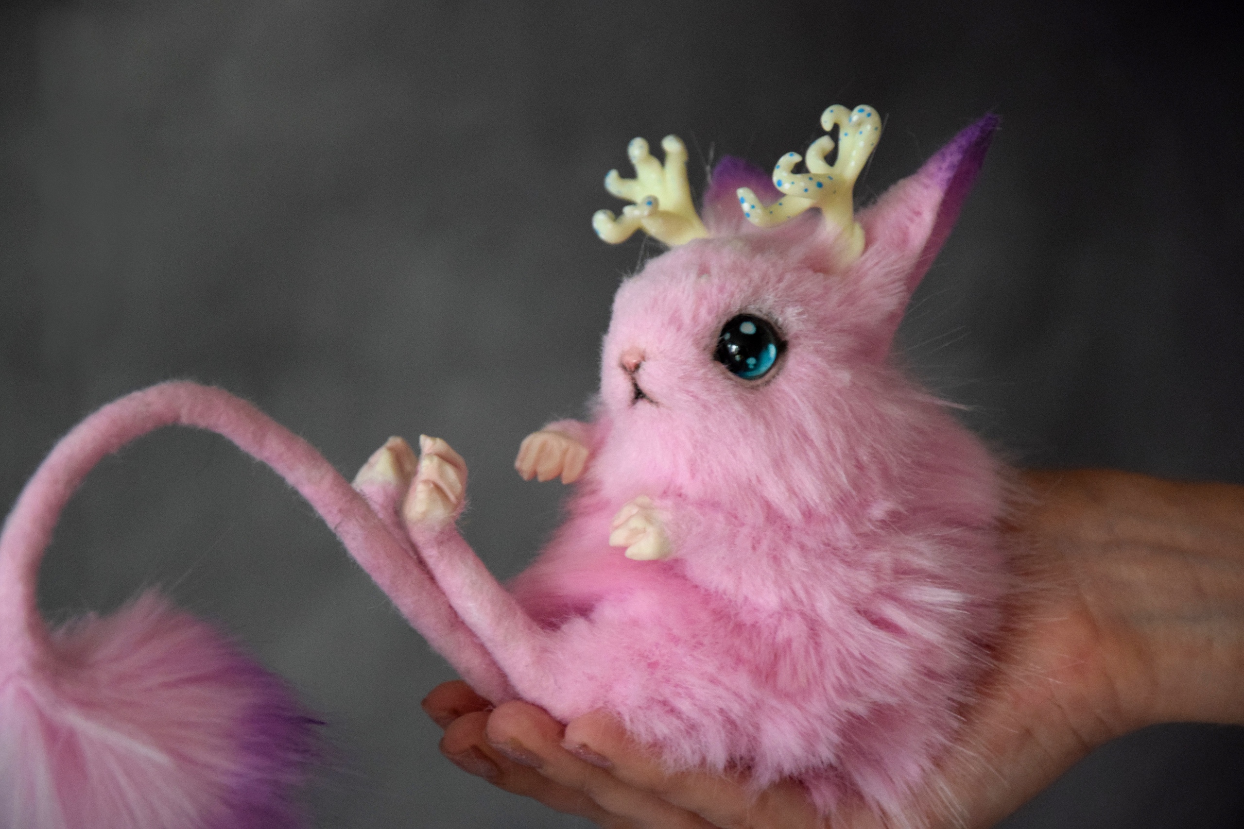 Magic Jerboa
