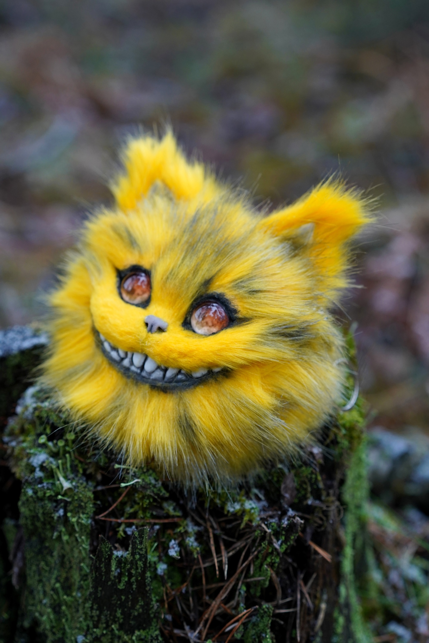 Cheshire head