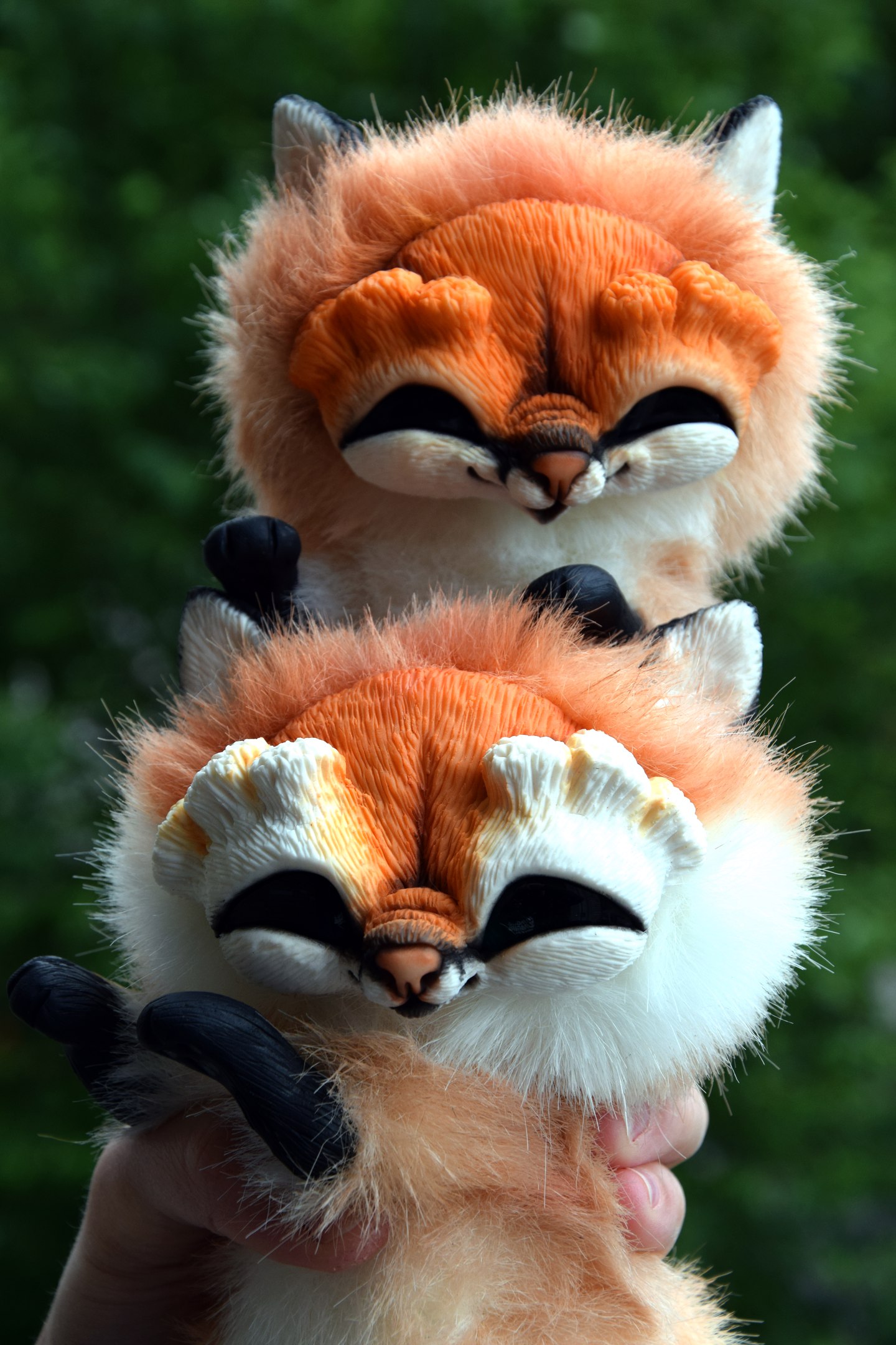 Sisters Foxes
