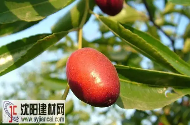 推送2按钮1
