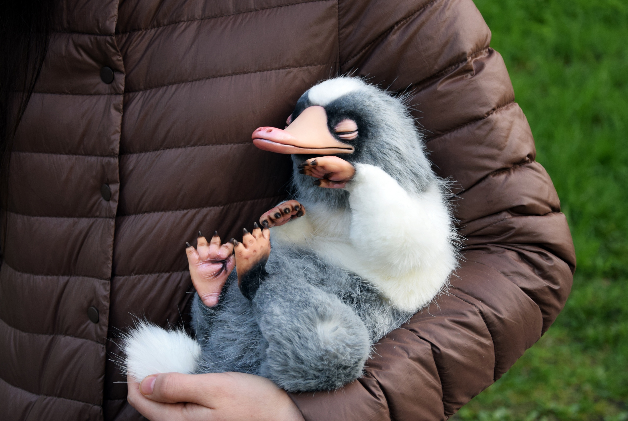 Sleeping Niffler