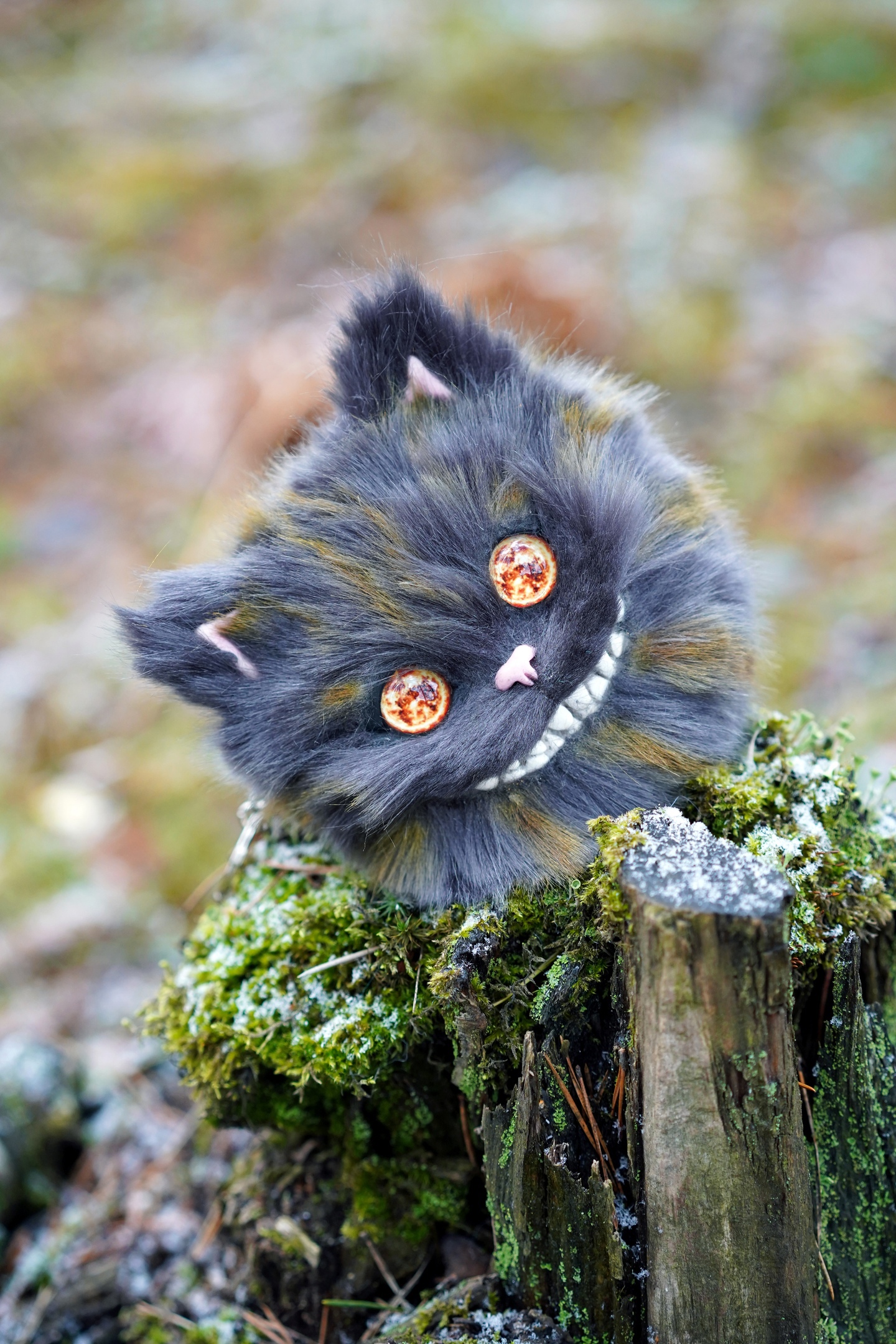 Cheshire head
