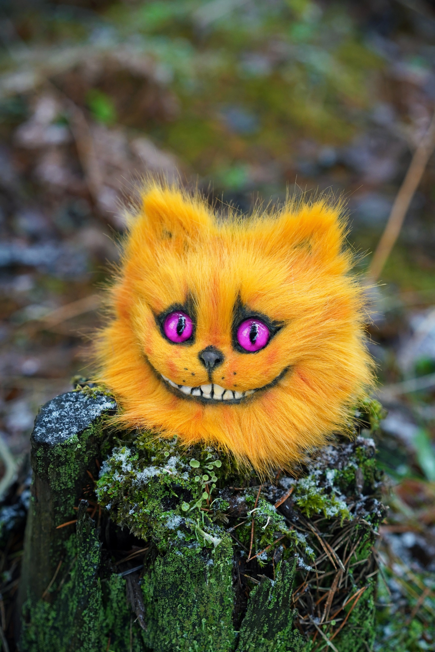 Cheshire head