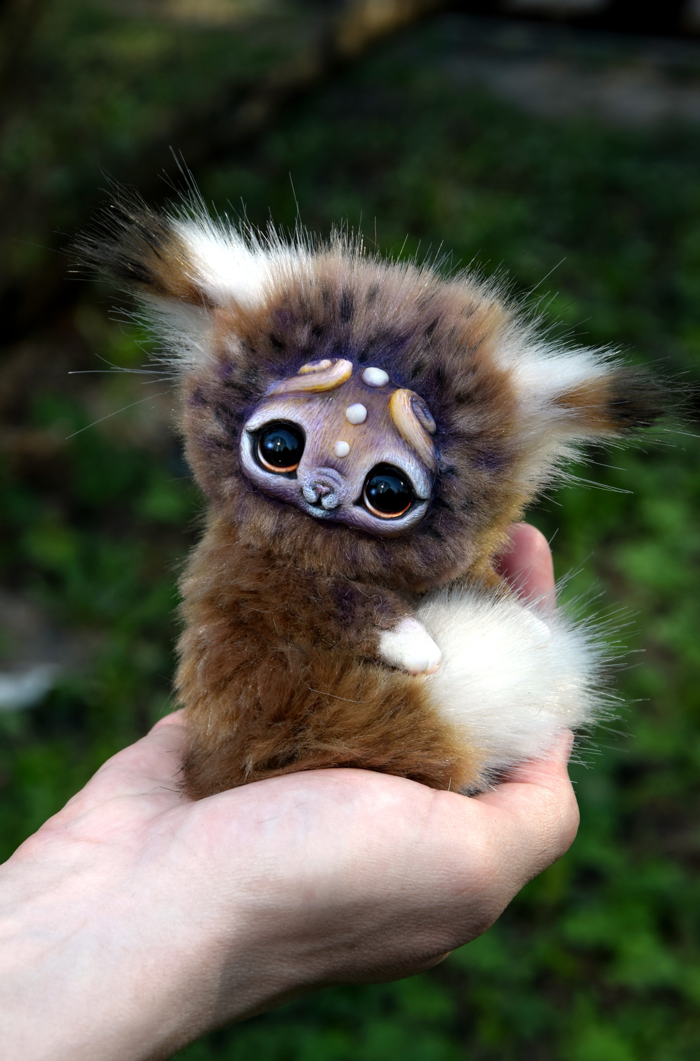 Small Marbled Kitten