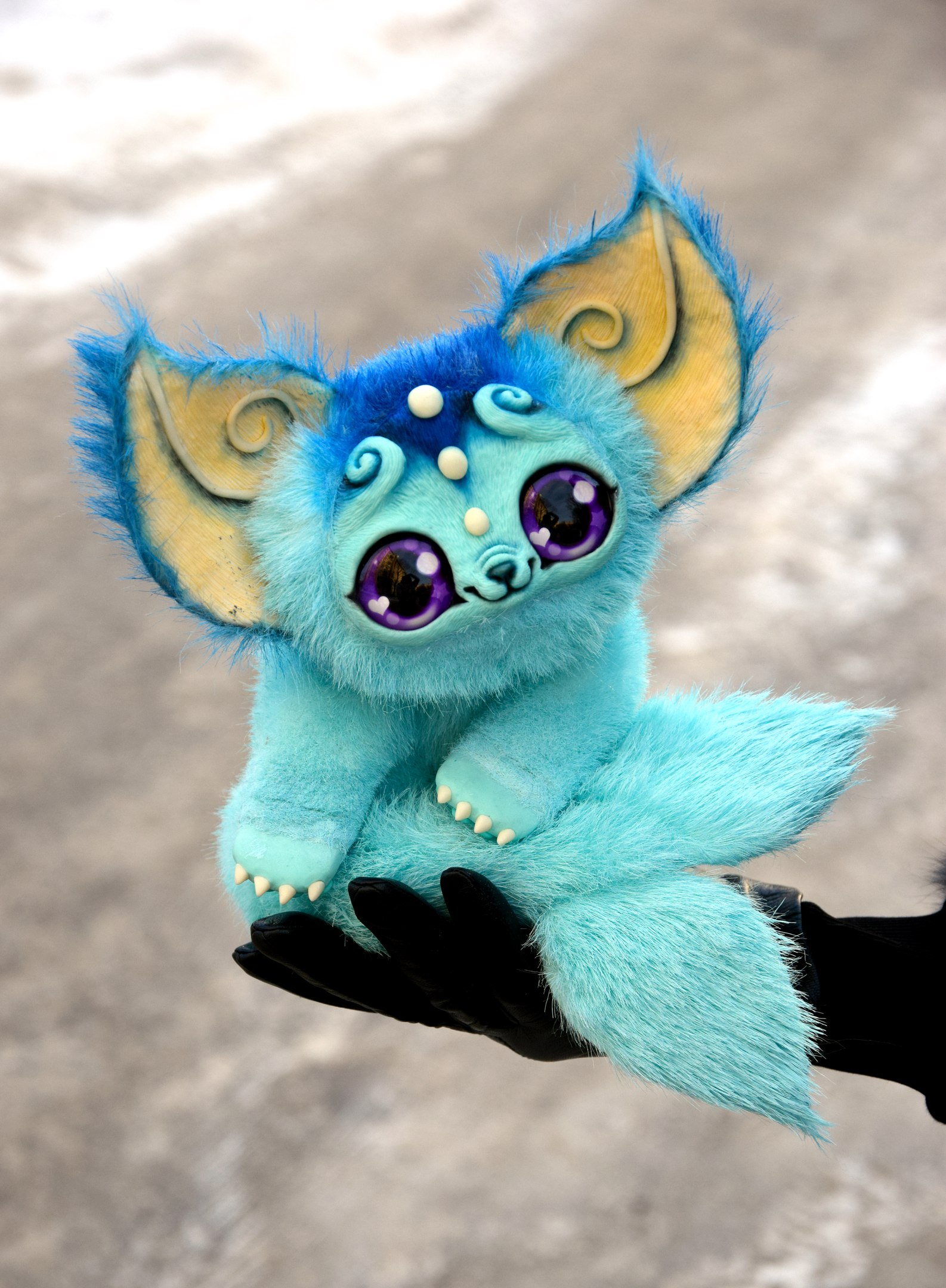 Amphibian Kitten