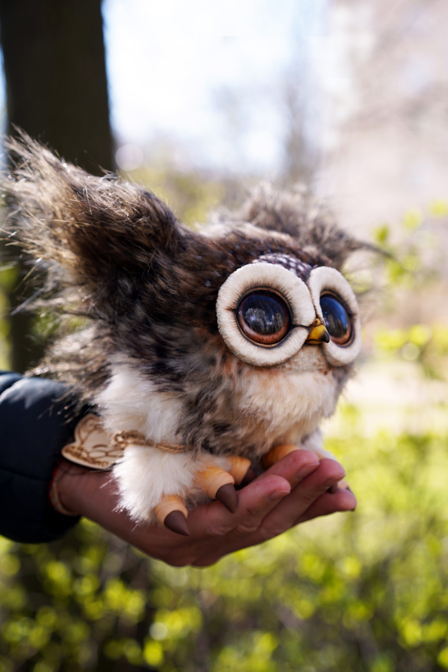 Owly