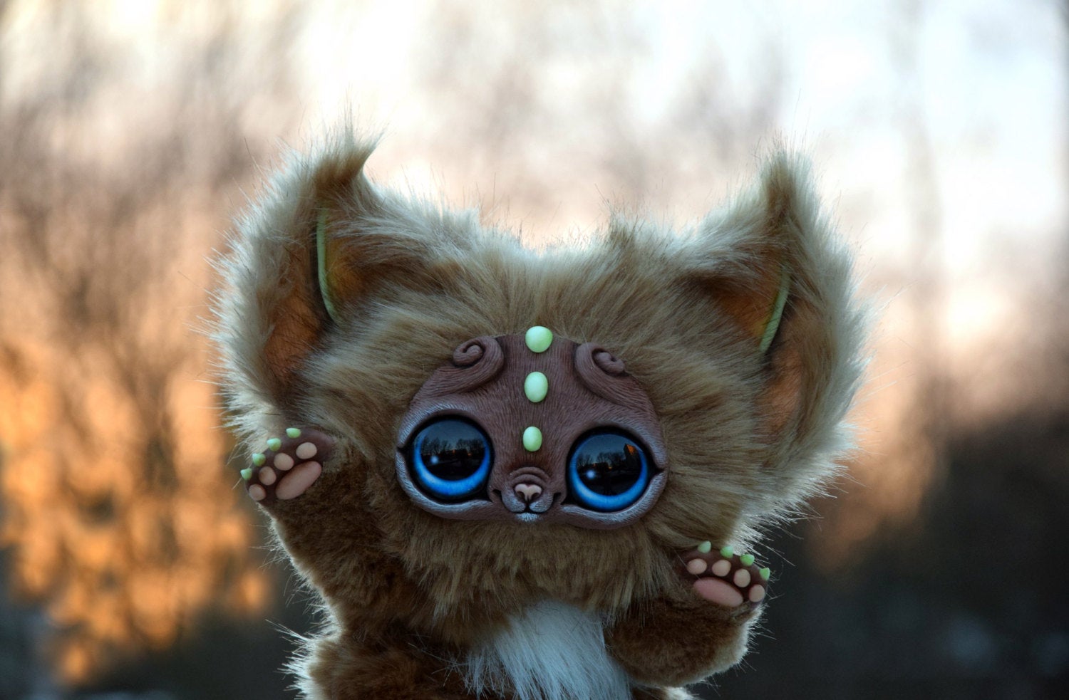 Chocolate Kitten