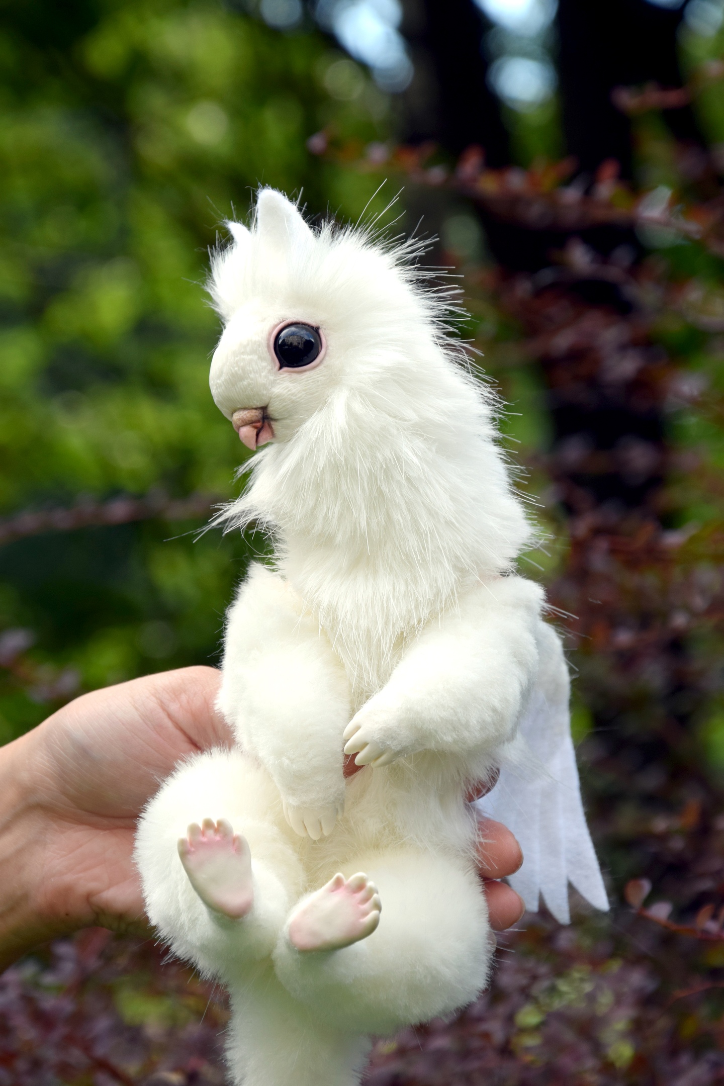 Dove Griffin