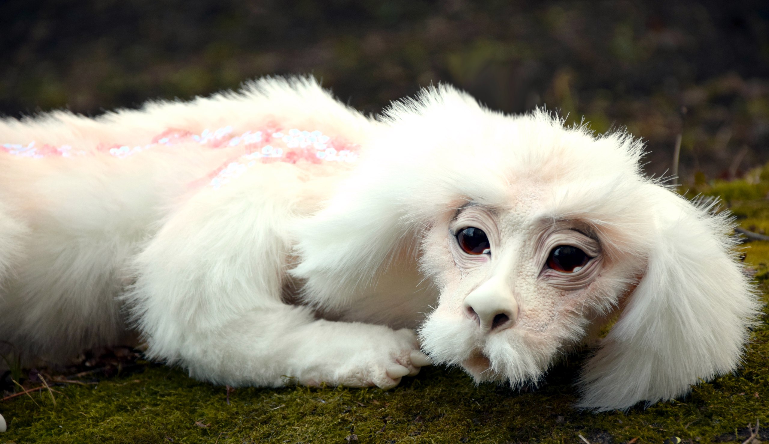 Falkor the Luckdragon