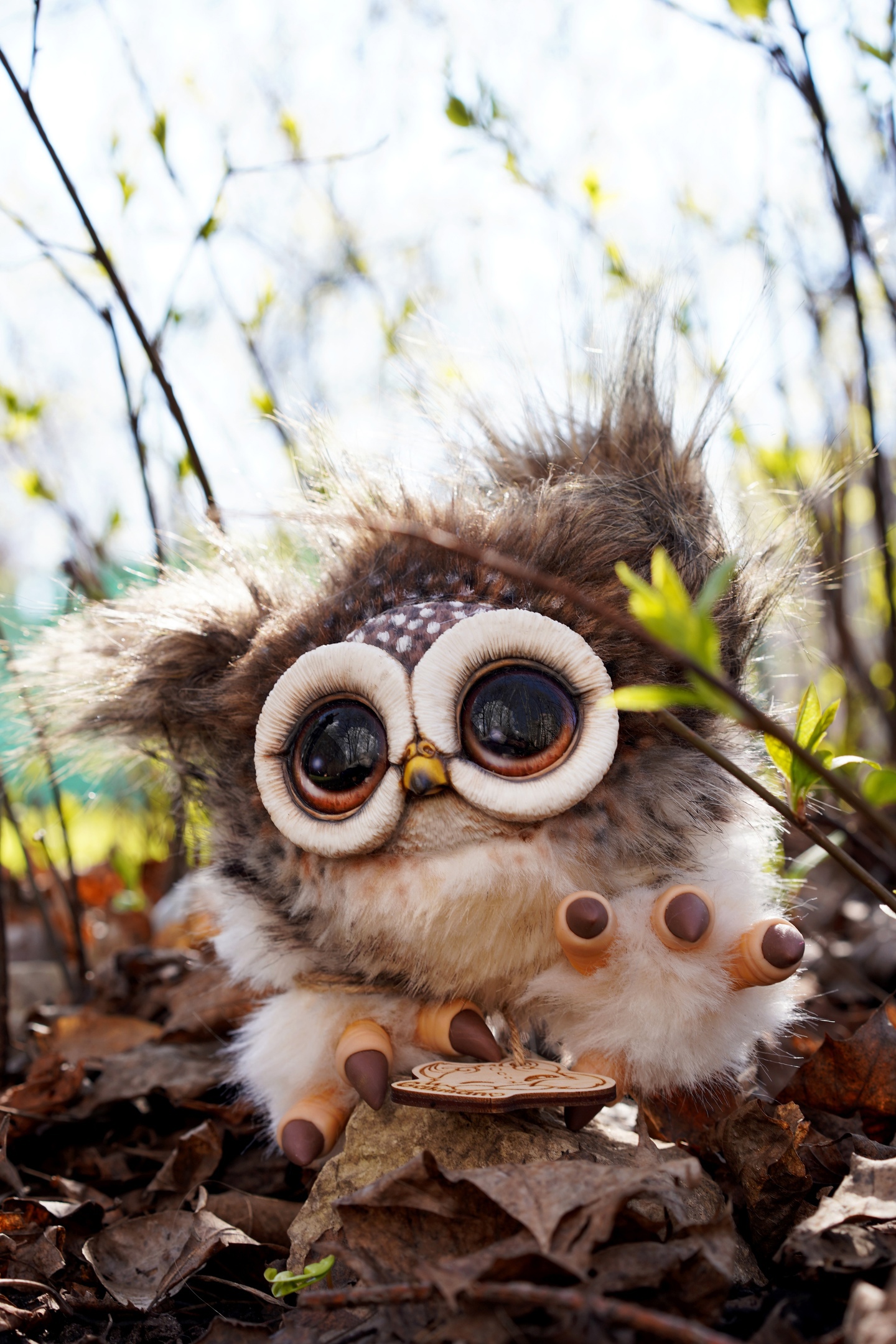 Owly