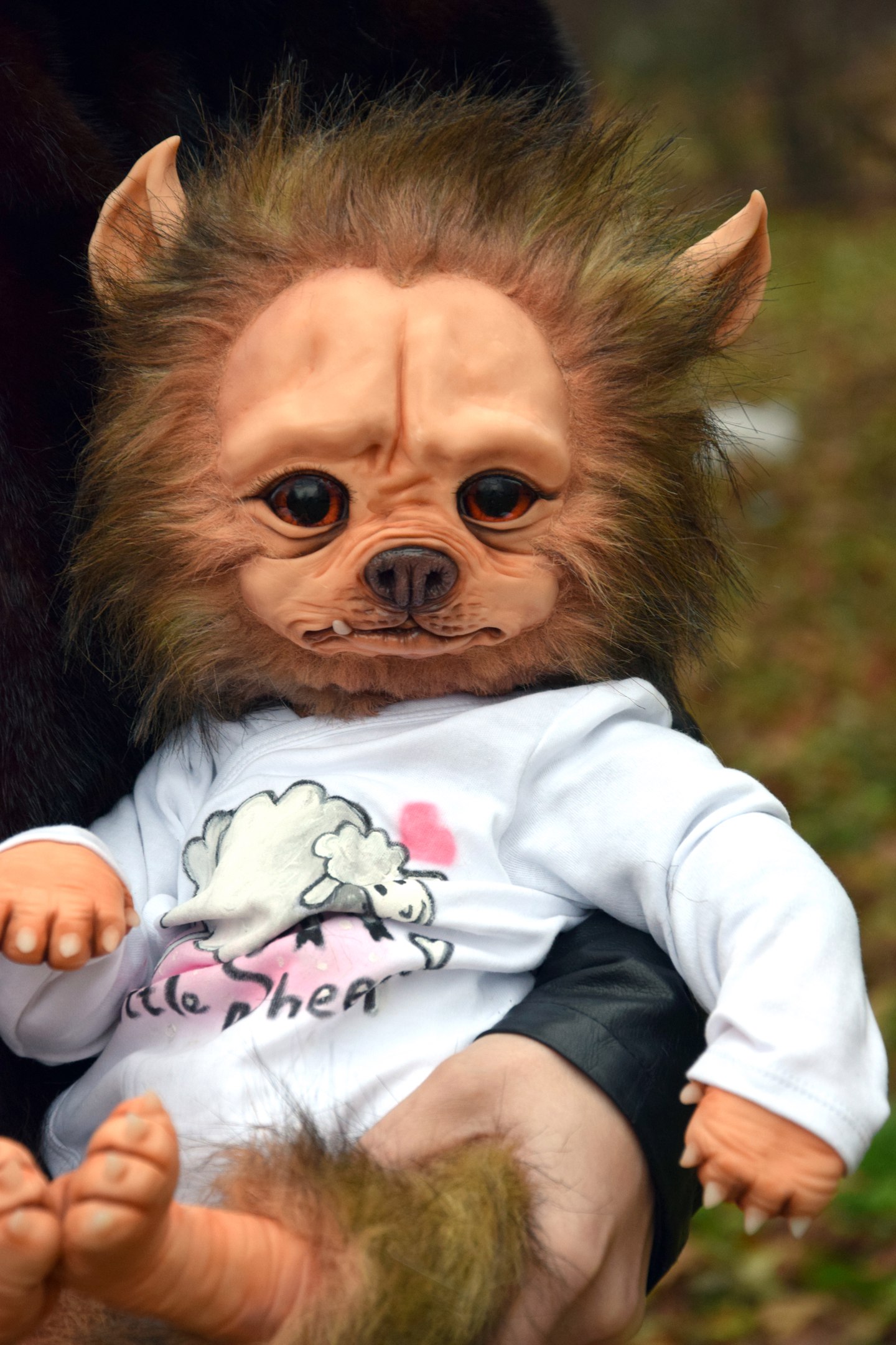 Little Werewolf in Sheep's Clothing