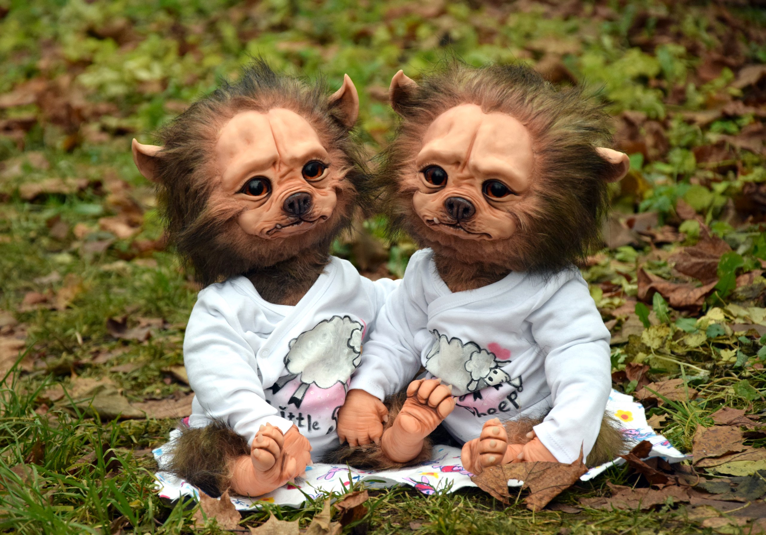 Little Werewolf in Sheep's Clothing