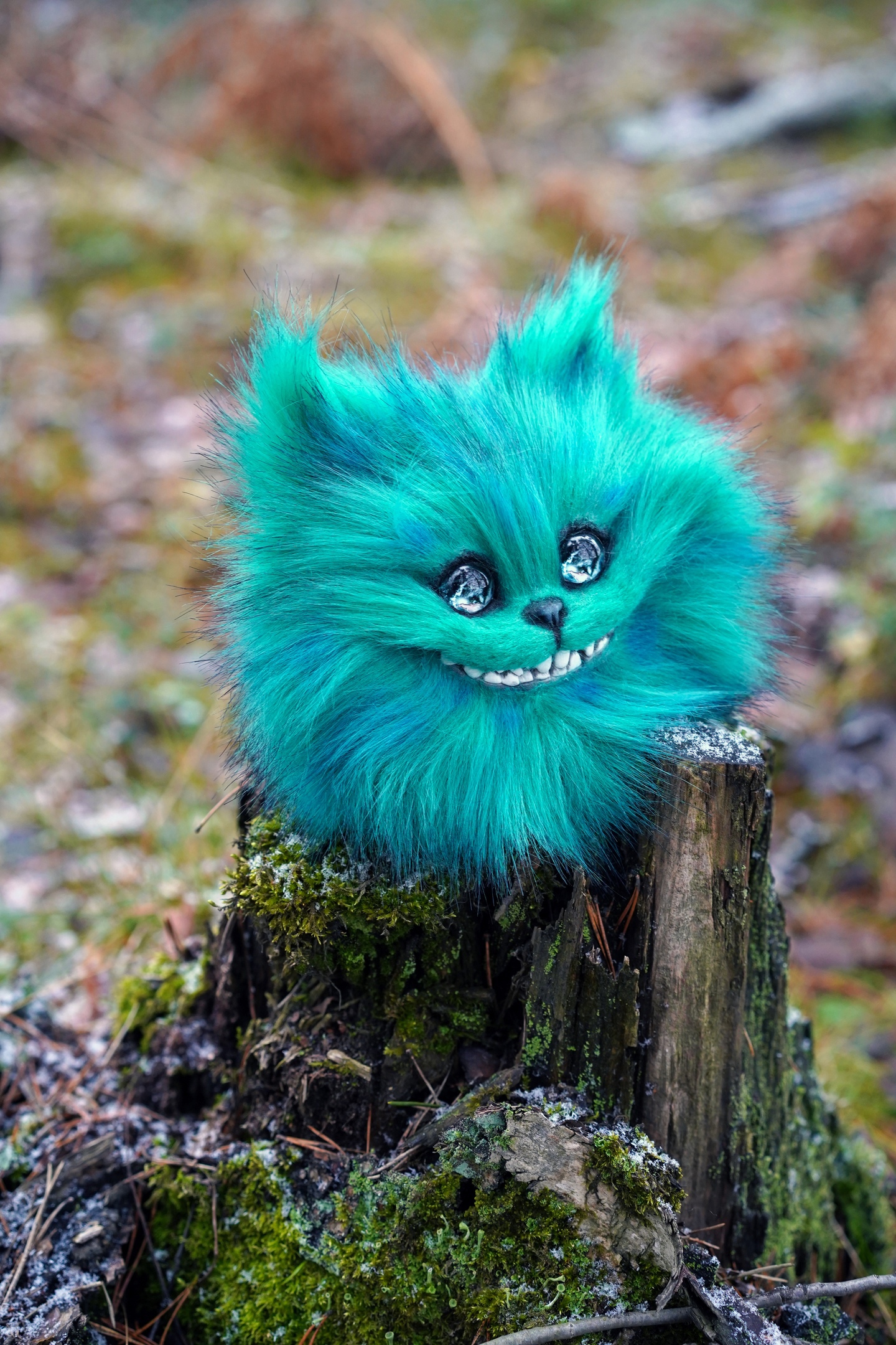 Cheshire head