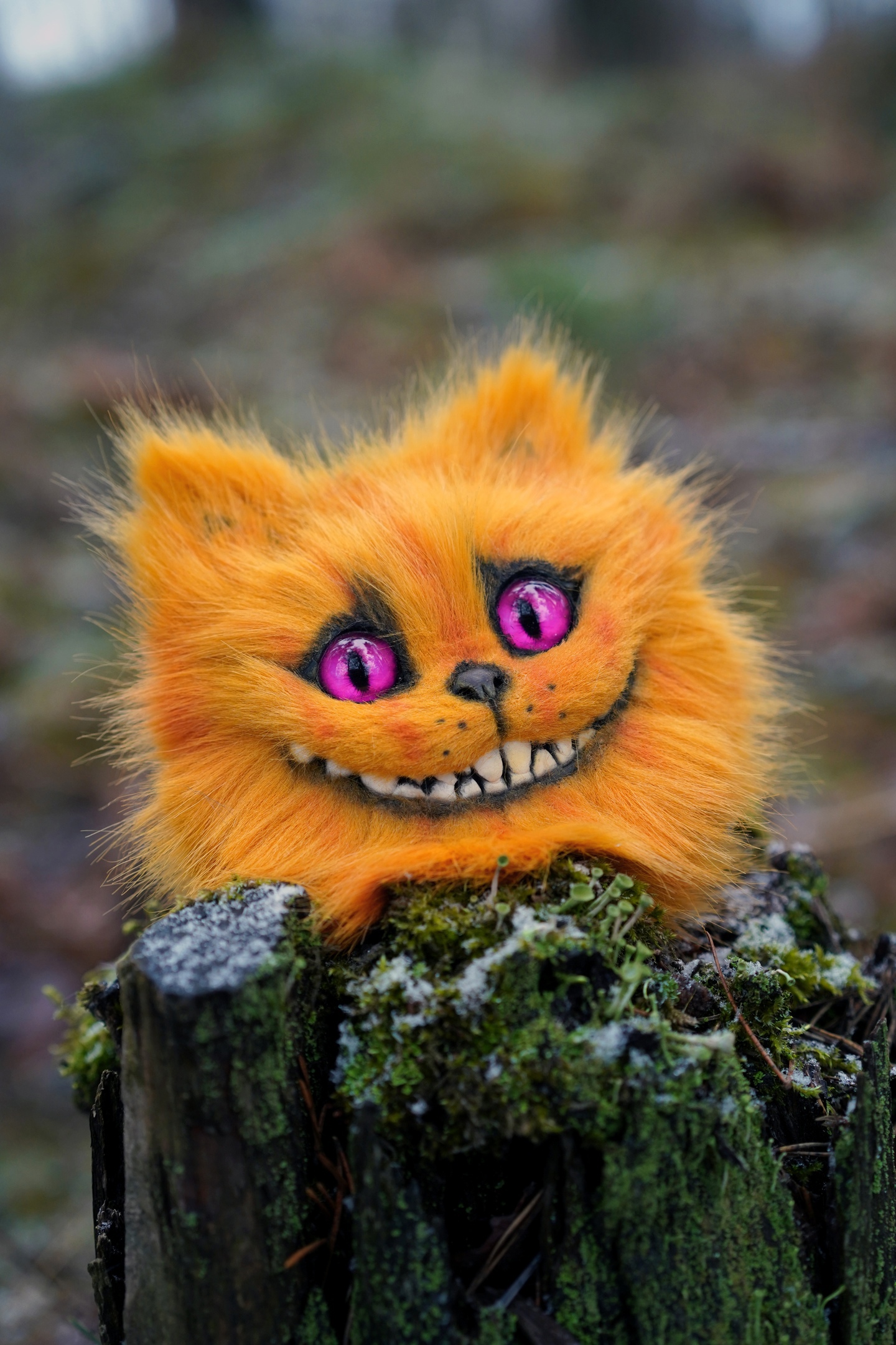 Cheshire head