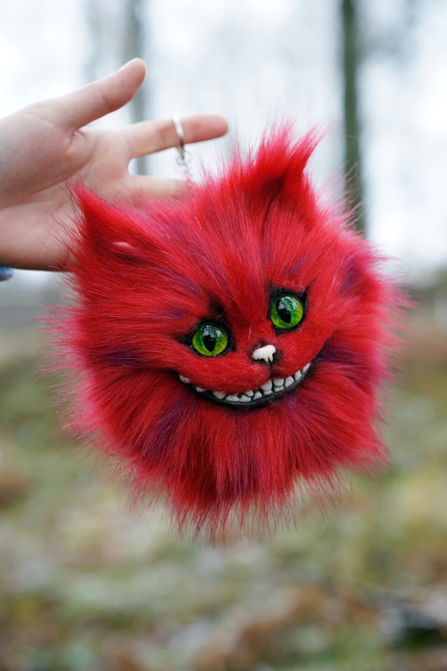 Cheshire head