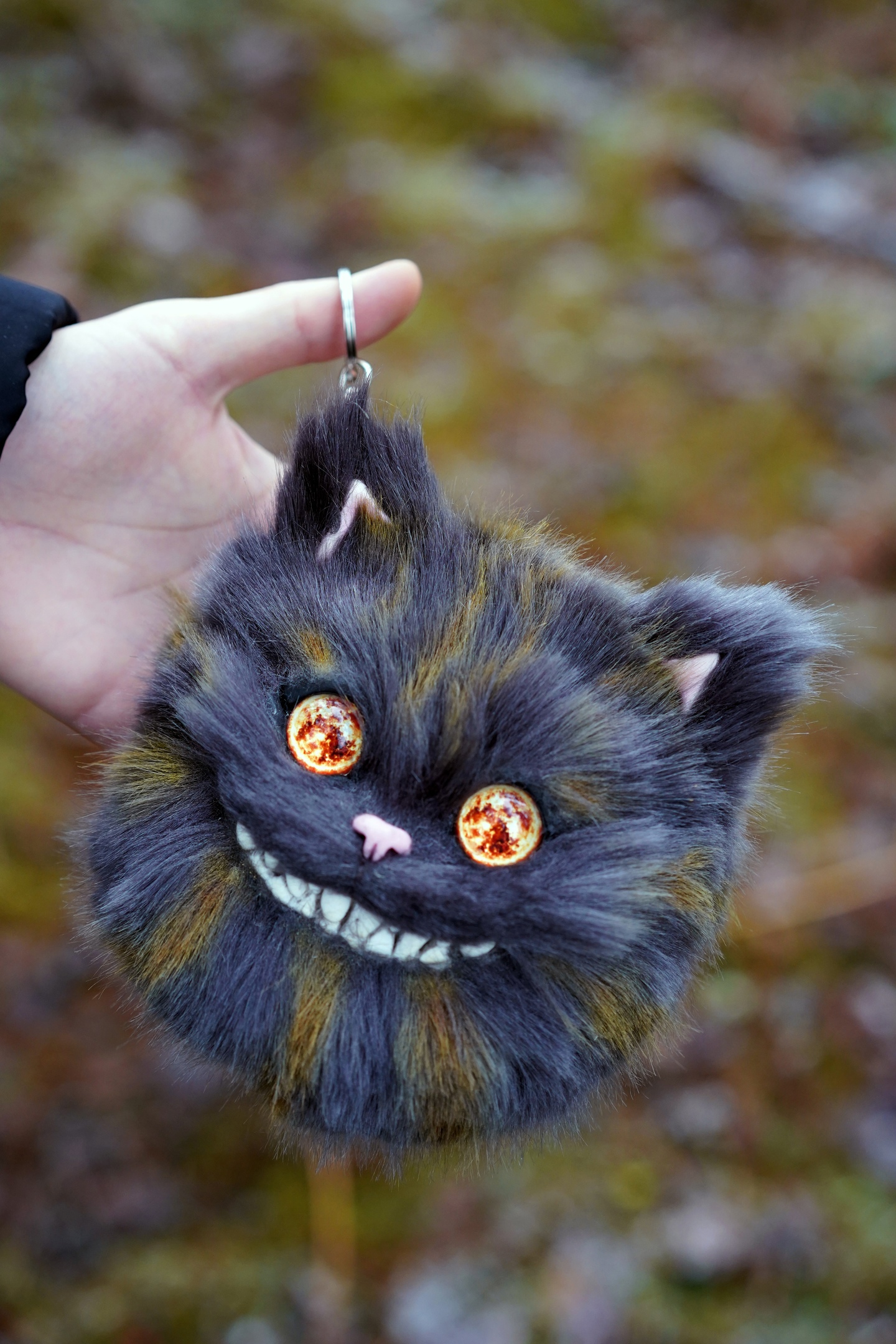 Cheshire head