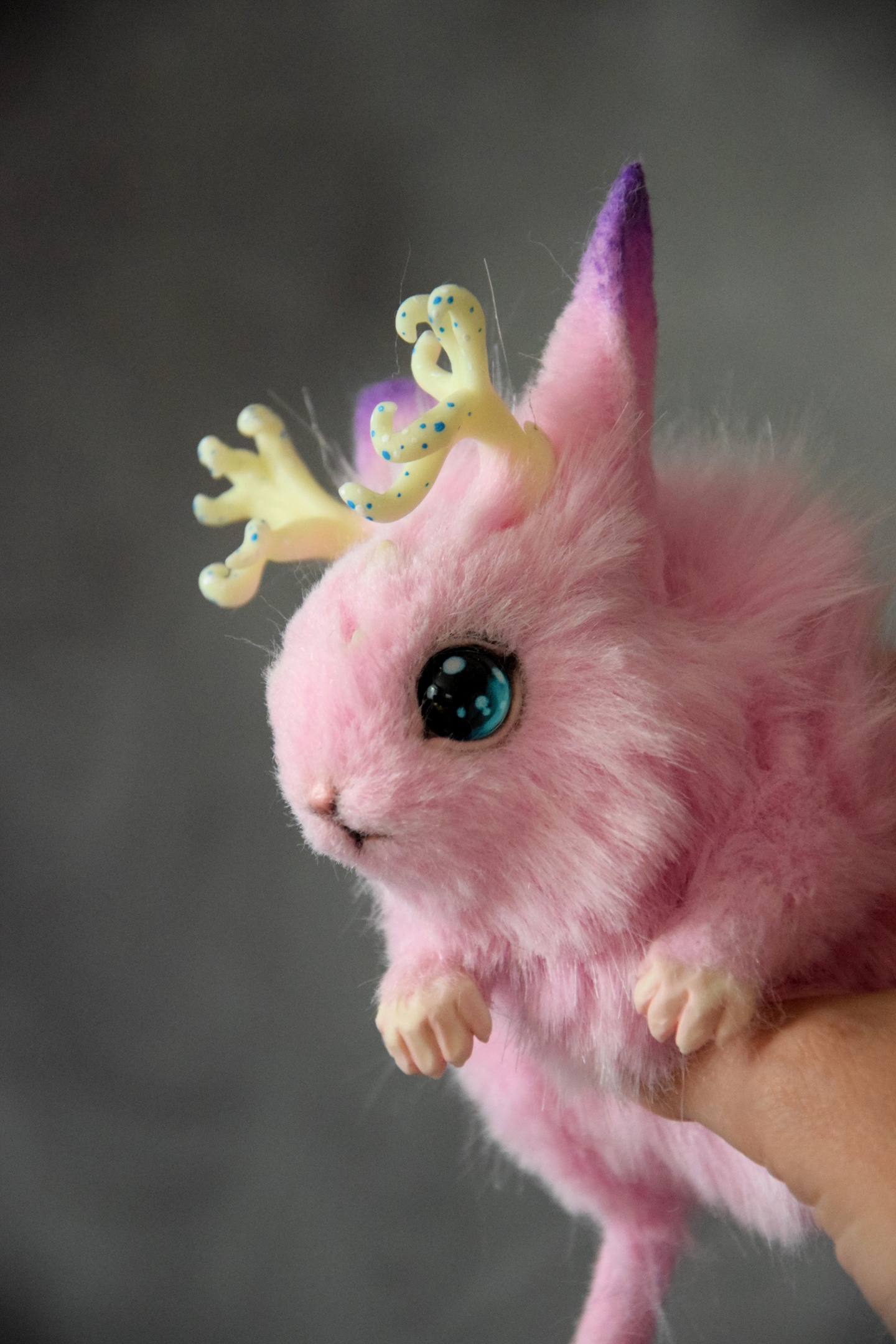 Magic Jerboa