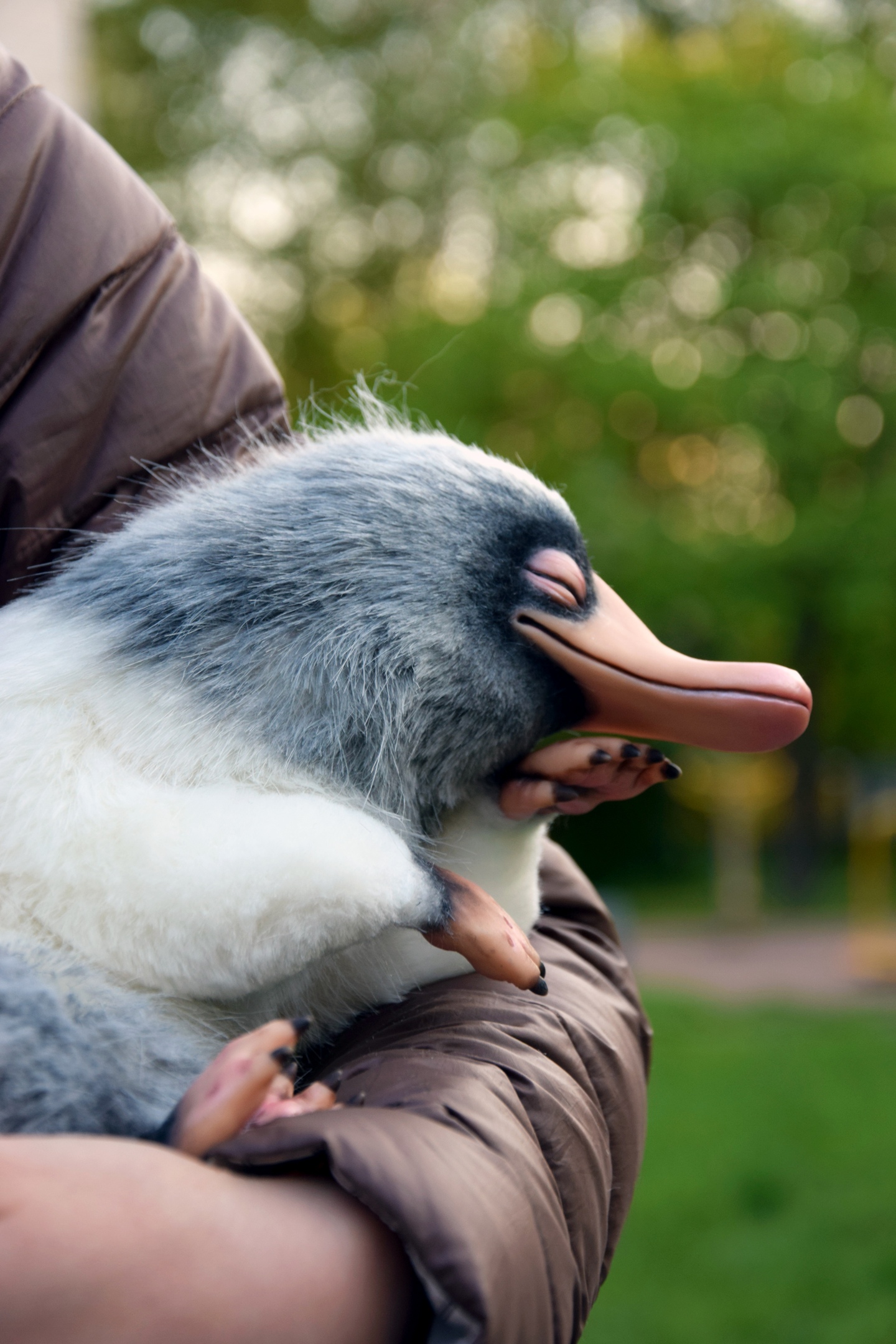 Sleeping Niffler
