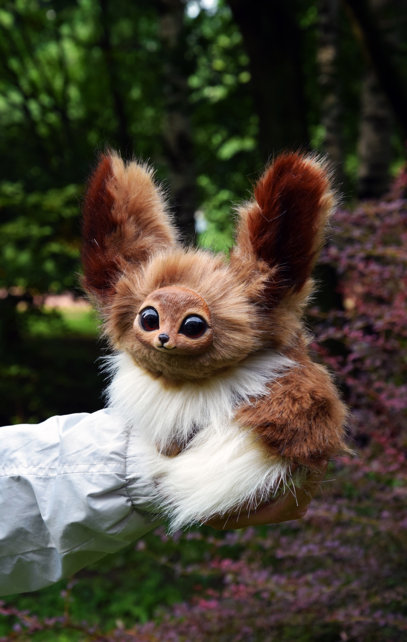 Eevee and all the evolutions